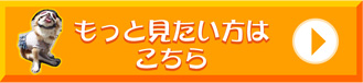 もっと見たい方はこちら