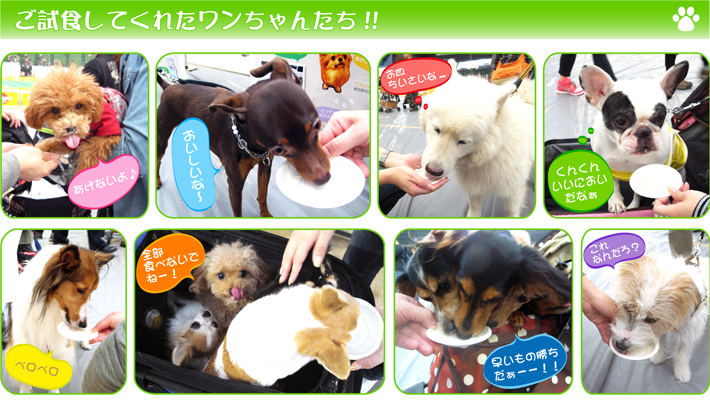 ご試食していただきました！
