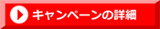 キャンペーン案内へ