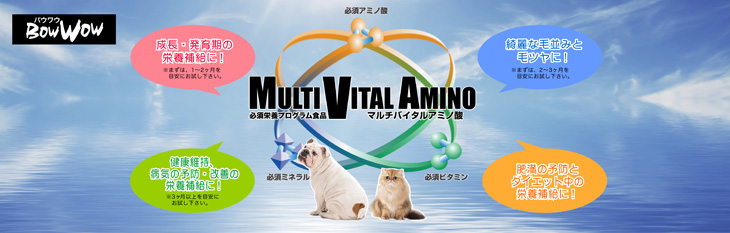 案内へ