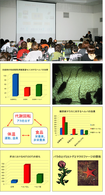 山崎先生プレゼン画像