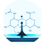 Hyaluronic acid　ヒアルロン酸