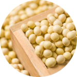 GCP  Soybean isoflavone  大豆イソフラボン