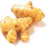 Turmeric ウコン