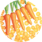 Carrot　カロット