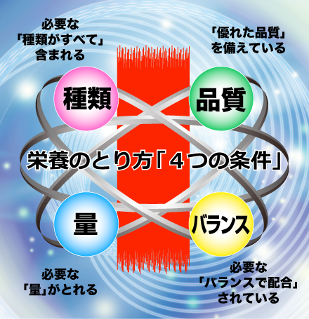 栄養の摂り方４つの条件