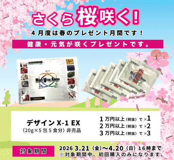 2026年桜咲くプレゼント1