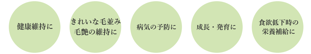 point_bowowo