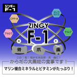 ジンギーF1　zingyf1