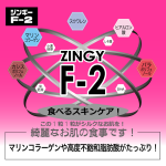 ジンギーF2　zingyf2