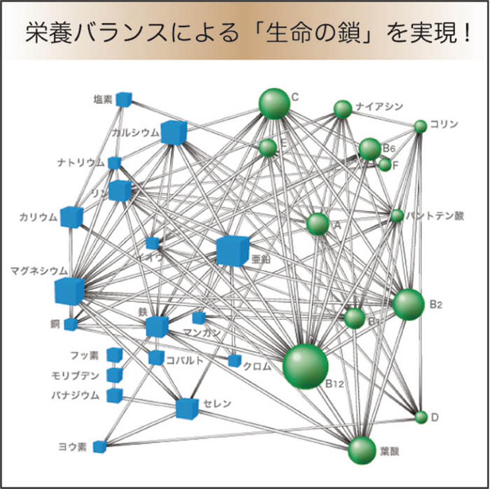 生命の鎖_03