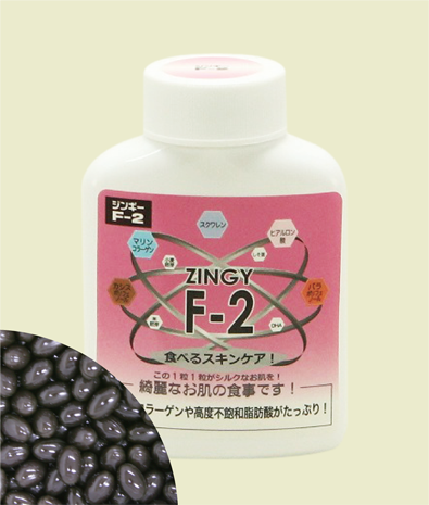 ジンギーF2　zingy_f-2_02