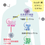 No.1 インフルエンザワクチン（予防接種）は効果のない劇薬?! 【医食同源】