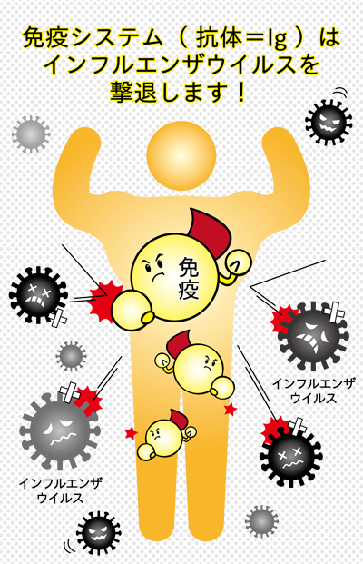 No 15 インフルエンザにかかる人とかからない人の差は 医食同源 Herba