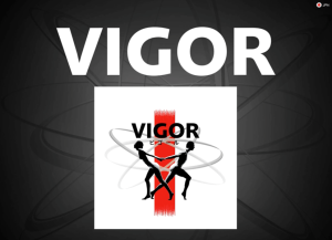 06_vigor_img