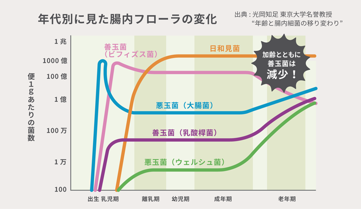 腸内フローラの変化