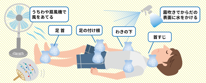 太い静脈がある場所を冷やす