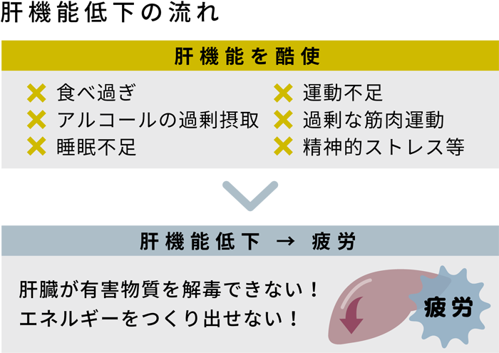 肝機能低下の流れ