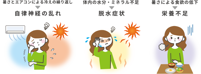 夏バテの主な原因