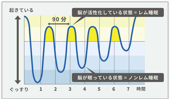 レム睡眠