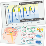 良質な睡眠は朝から始まる！