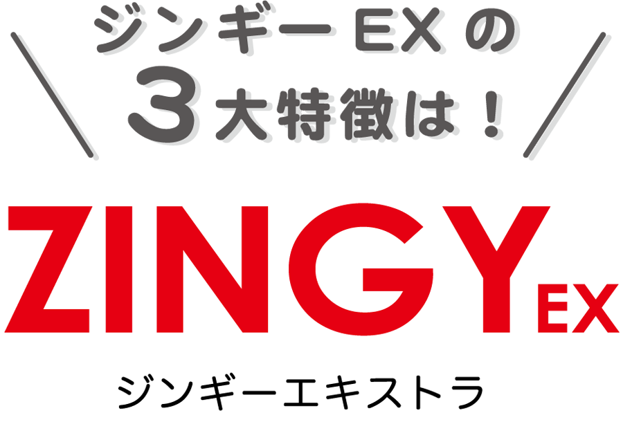 zingy-ex_03