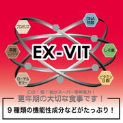 エキス・ビット　ex-vit