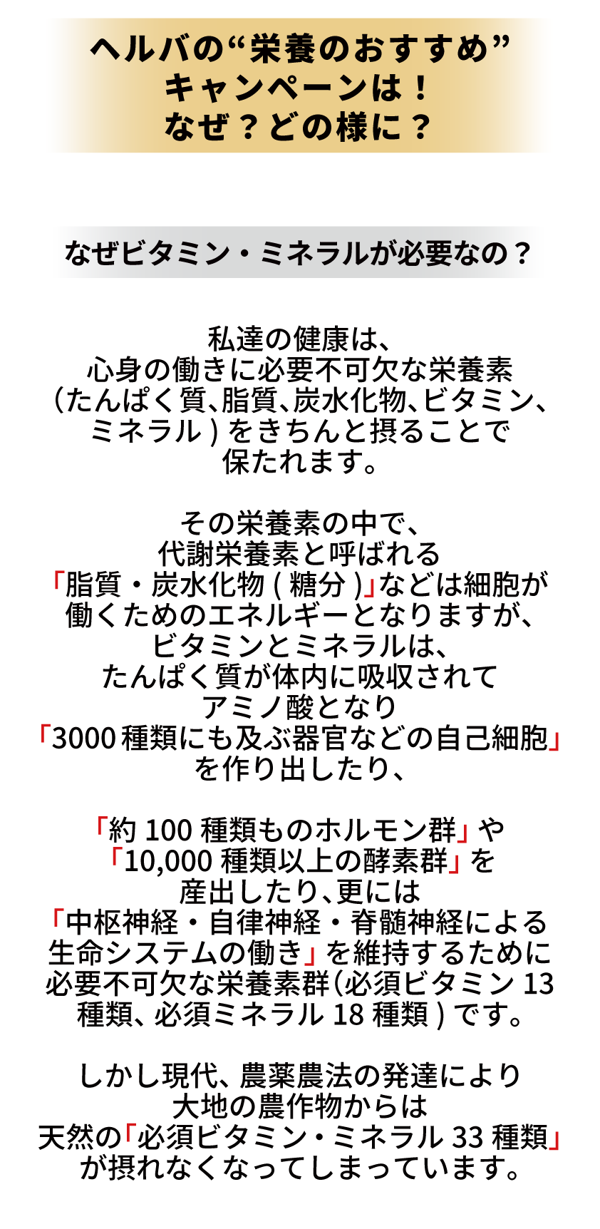 パンフ2