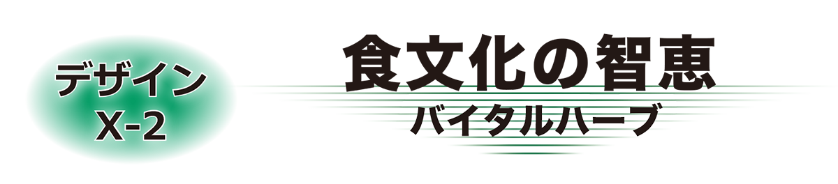 デザインX-2