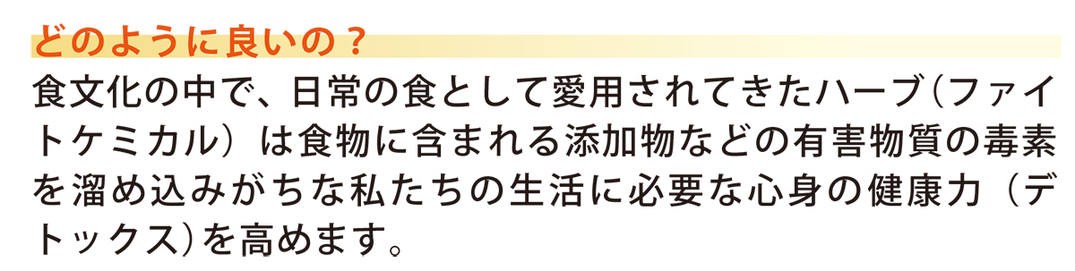 説明文2