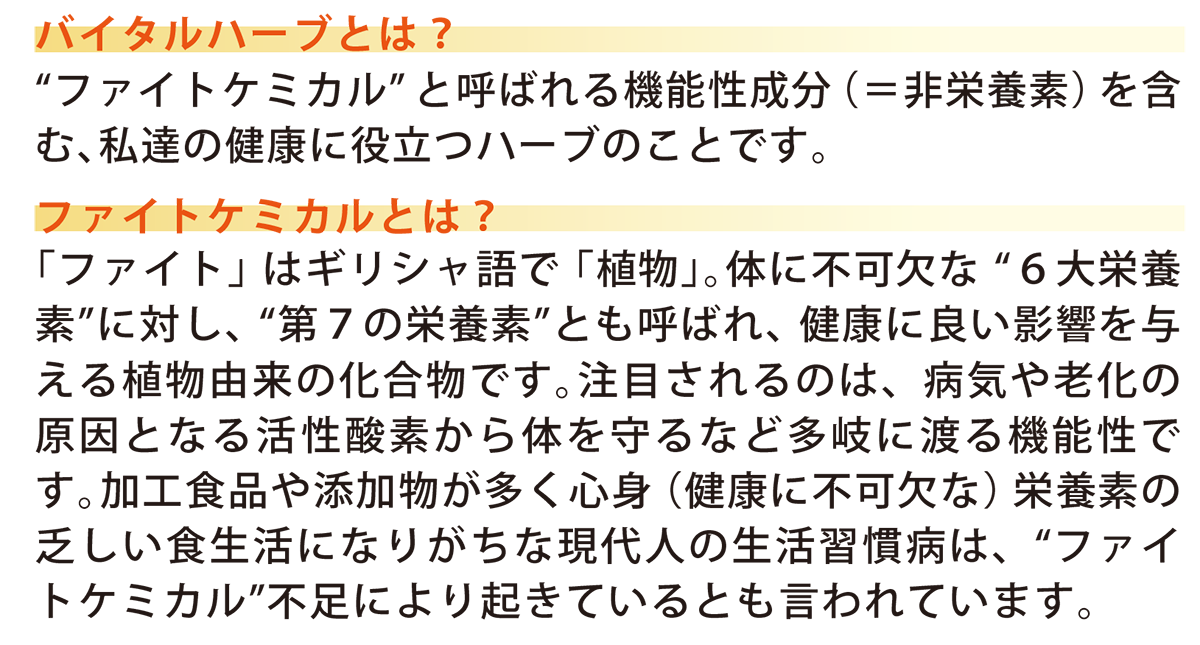 説明文1
