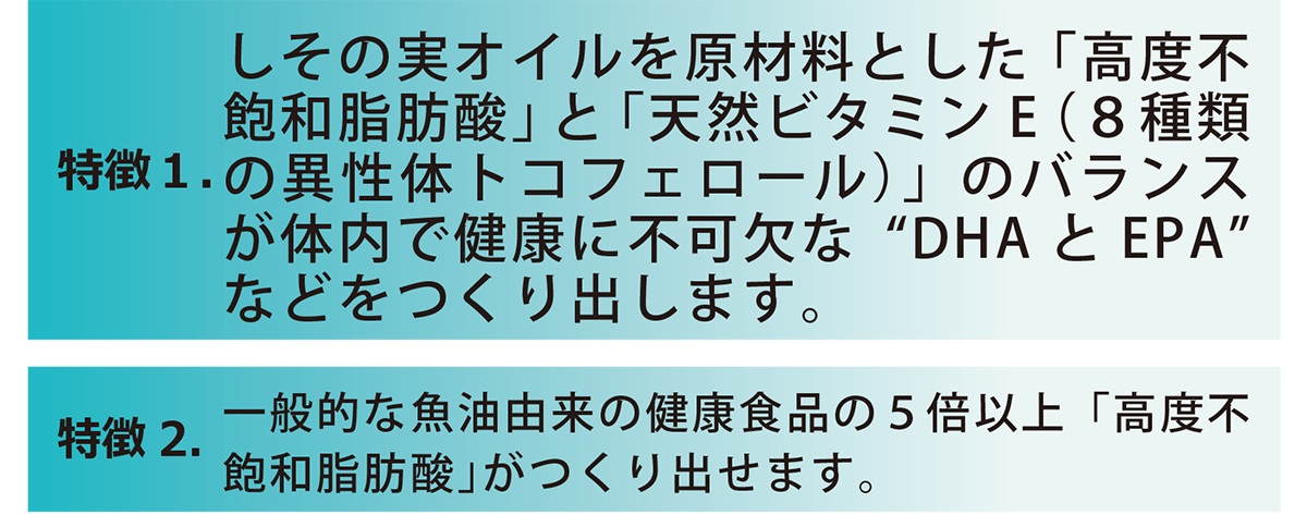 特徴